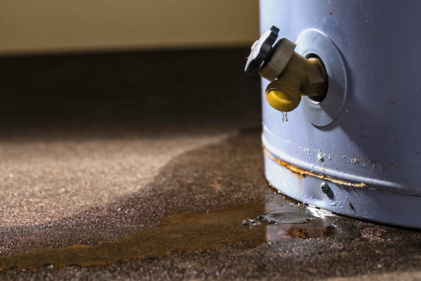 Reliable Rainelle, WV Water damage restoration Solutions