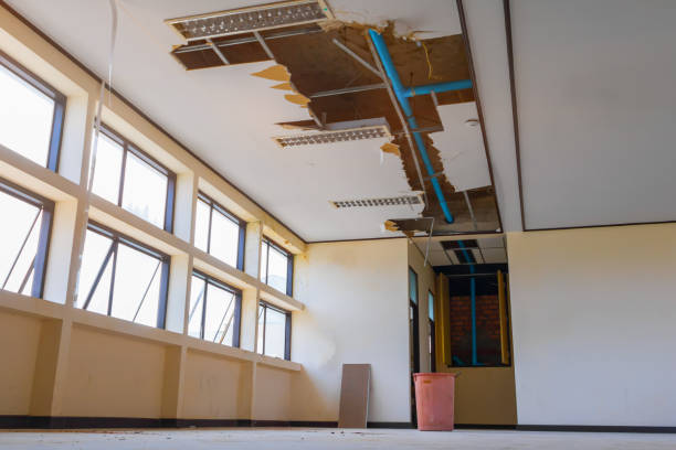 Best Mold removal after water damage  in Rainelle, WV