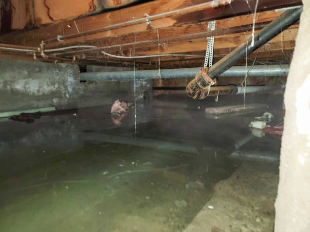 24/7 water damage repair in Rainelle, WV