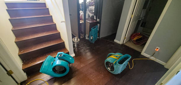 Best Water damage cleanup near me  in Rainelle, WV