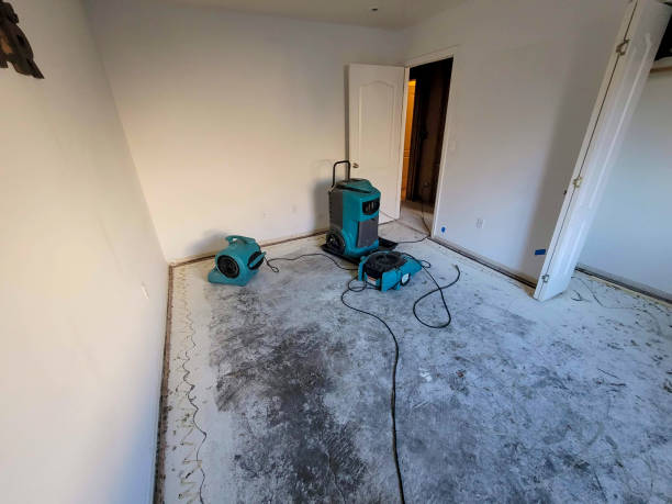 Water damage restoration experts in Rainelle, WV
