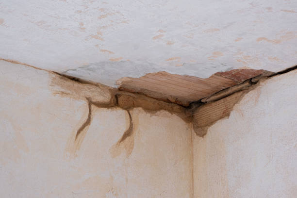 Best 24-hour water damage restoration  in Rainelle, WV