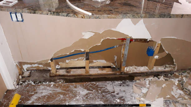 Best Sewage cleanup and water damage restoration  in Rainelle, WV