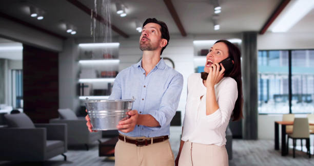 Best Sewage cleanup and water damage restoration  in Rainelle, WV