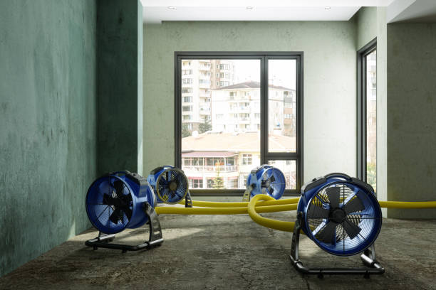Best Water damage restoration near me  in Rainelle, WV
