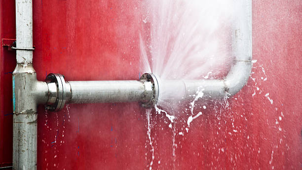 Best Flood damage cleanup  in Rainelle, WV